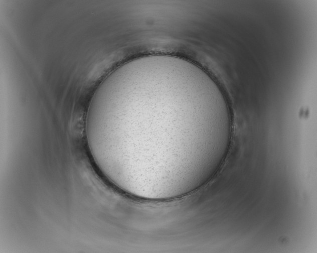 X0000112510017200908311344