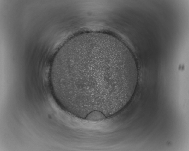 X0000112510018200908311344