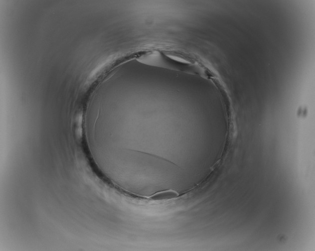 X0000112510019200908311344