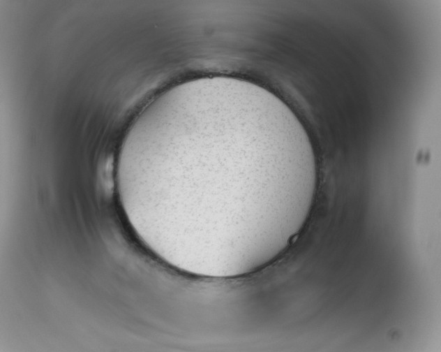 X0000112510020200908311344