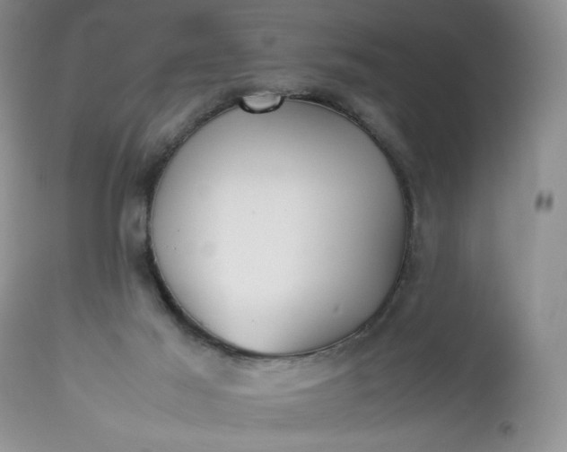 X0000112510021200908311344