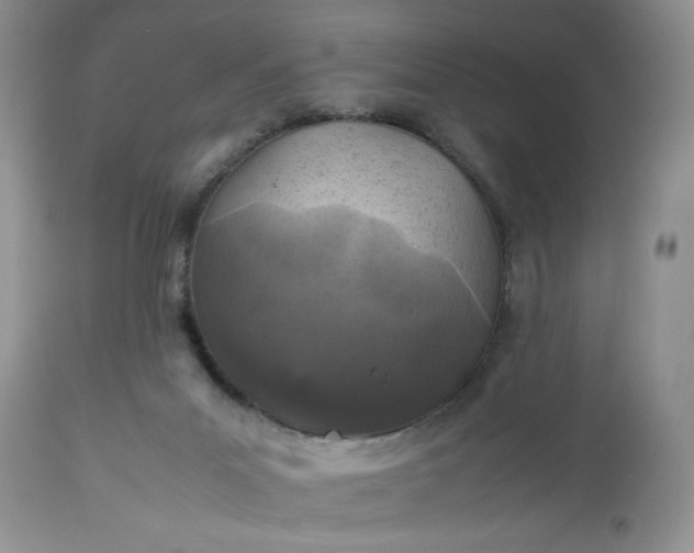 X0000112510023200908311344