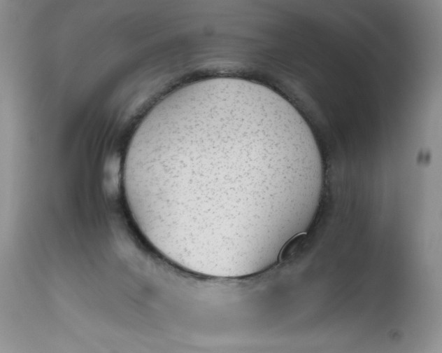 X0000112510024200908311344