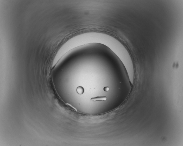 X0000112510025200908311344