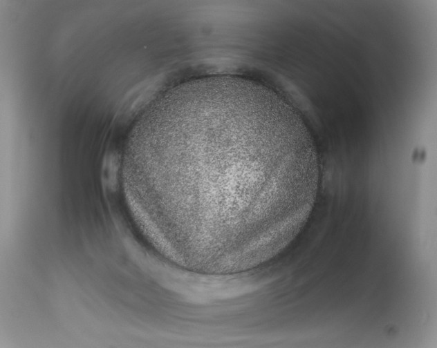 X0000112510026200908311344