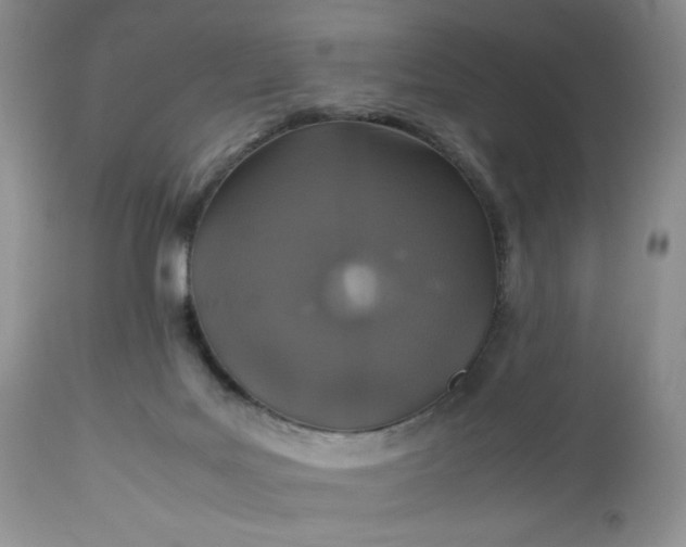 X0000112510027200908311344