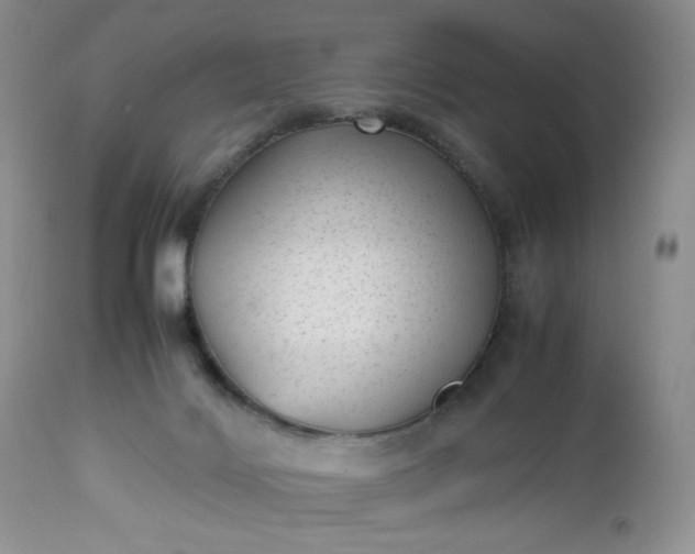 X0000112510028200908311344