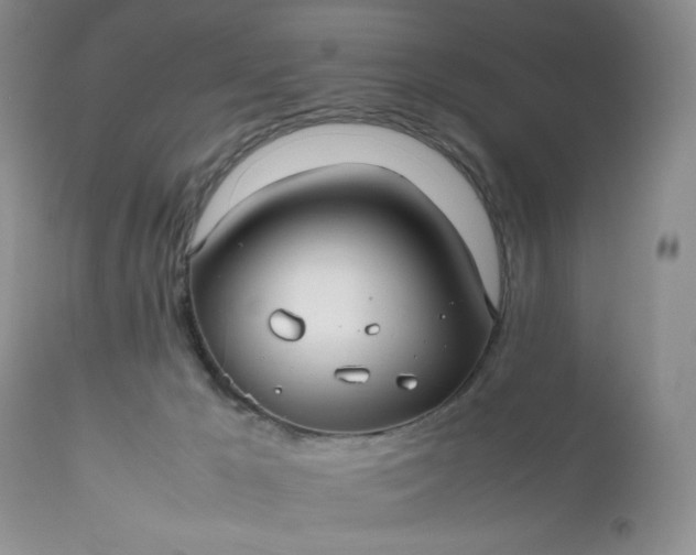 X0000112510029200908311344