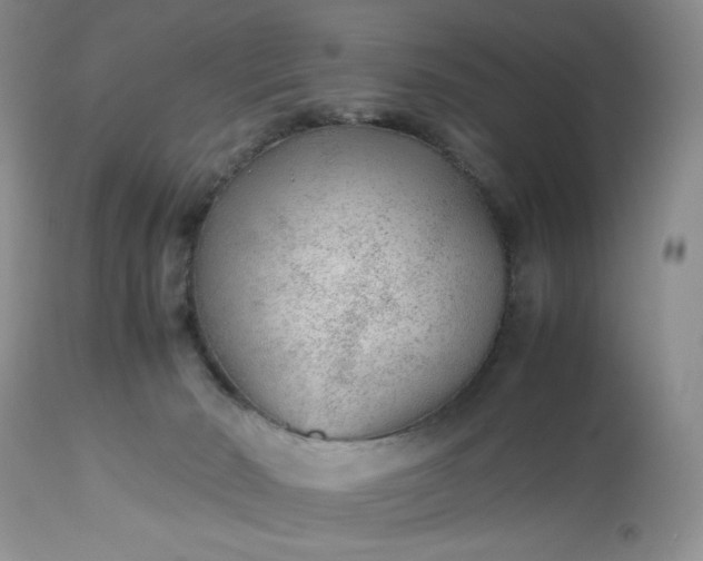 X0000112510030200908311344