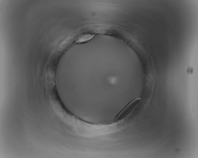 X0000112510031200908311344