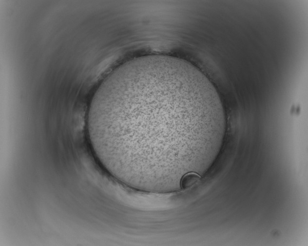 X0000112510032200908311344