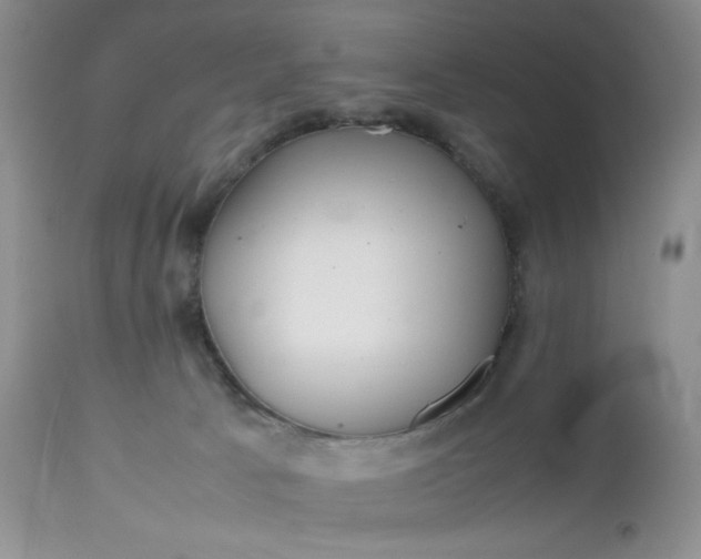 X0000112510033200908311344