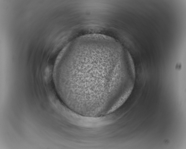 X0000112510034200908311344