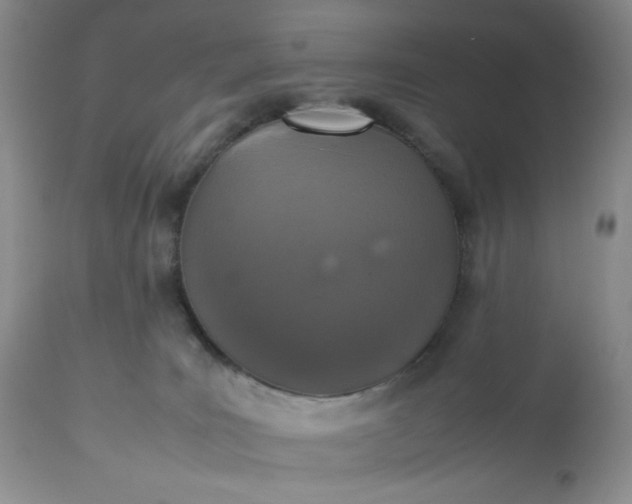 X0000112510035200908311344