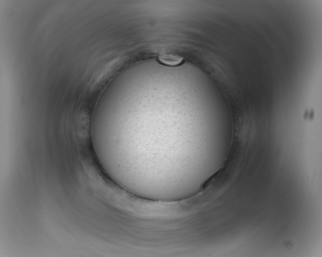 X0000112510036200908311344