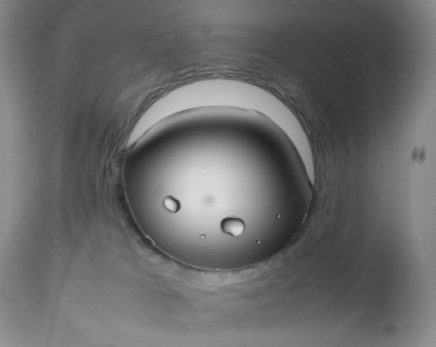 X0000112510037200908311344