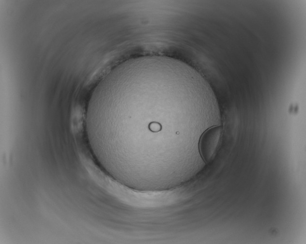 X0000112510038200908311344