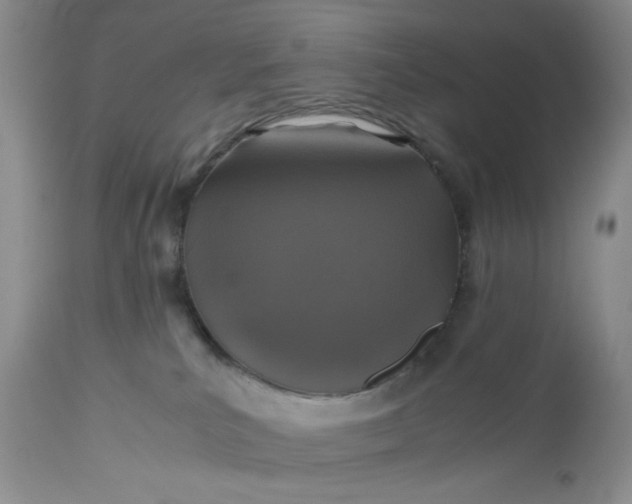 X0000112510039200908311344