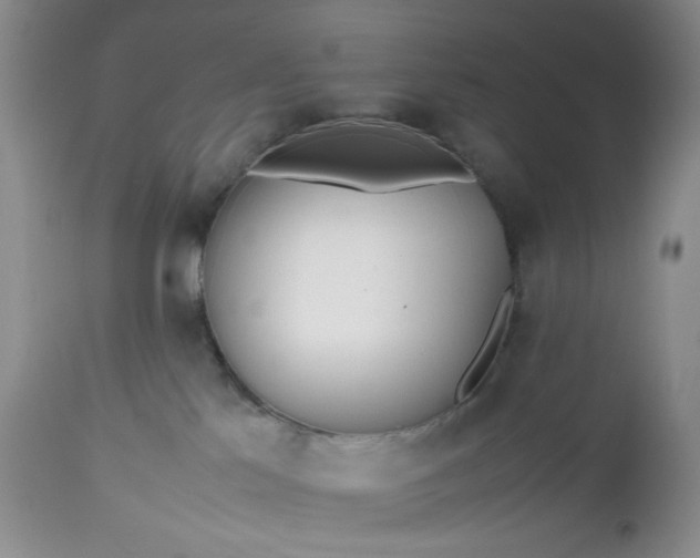 X0000112510041200908311343