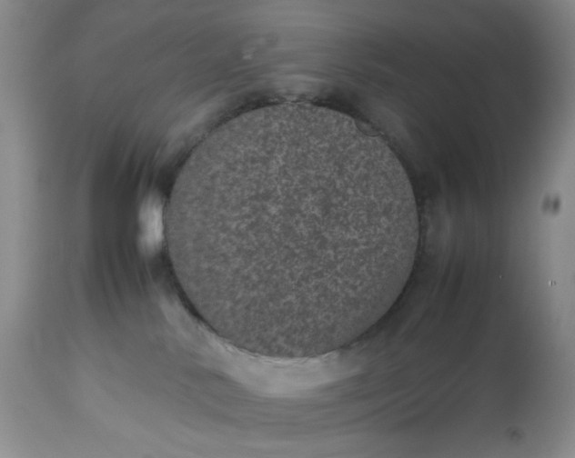 X0000112510042200908311343