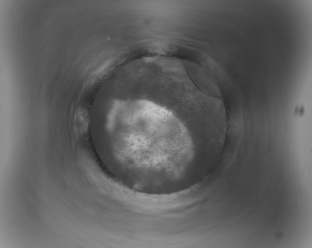 X0000112510043200908311343