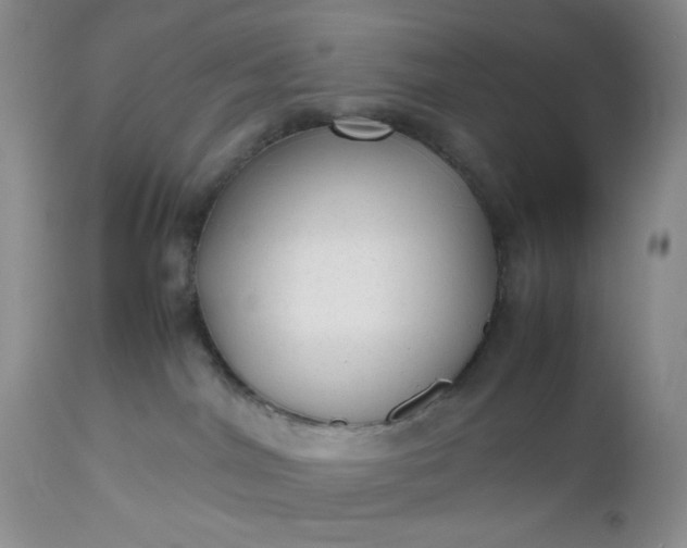 X0000112510044200908311343