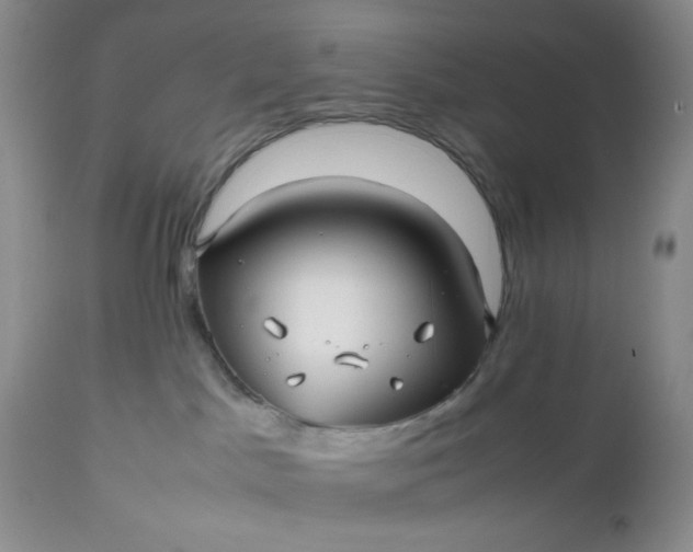 X0000112510045200908311343