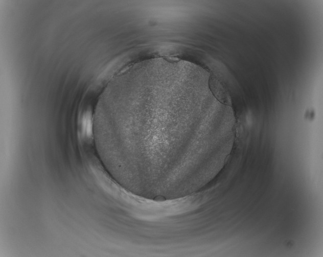 X0000112510046200908311343