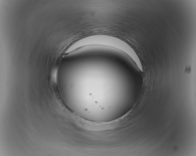 X0000112510047200908311343