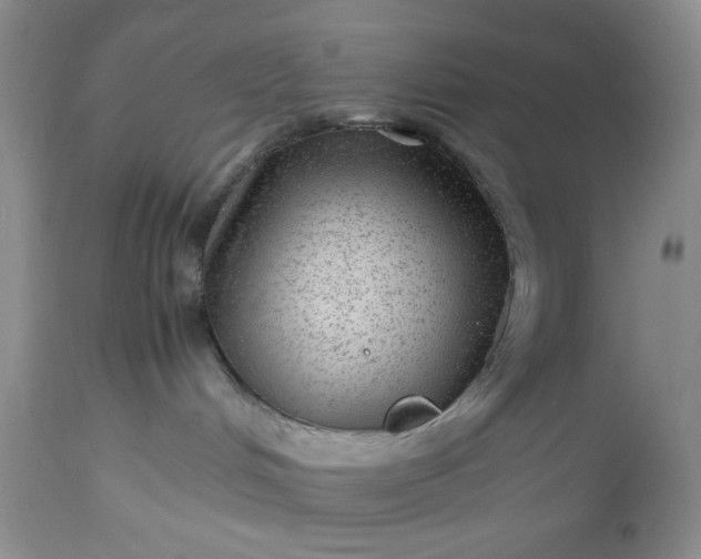 X0000112510048200908311343