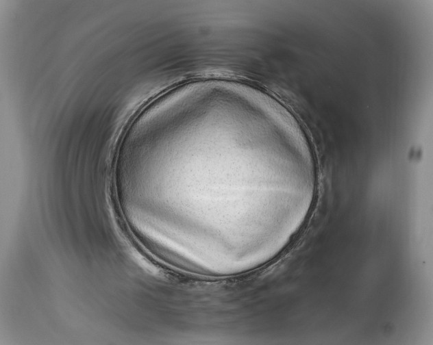 X0000112510049200908311343