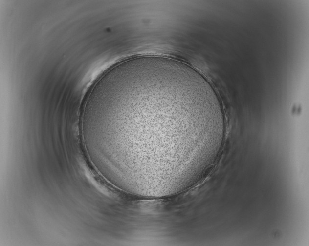 X0000112510050200908311343