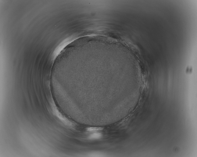 X0000112510051200908311343