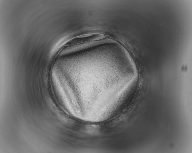 X0000112510053200908311343