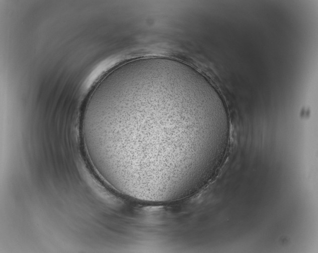 X0000112510054200908311343