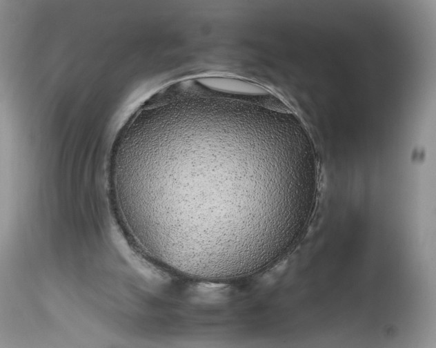 X0000112510055200908311343