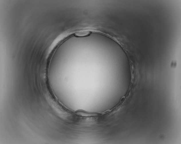 X0000112510056200908311343