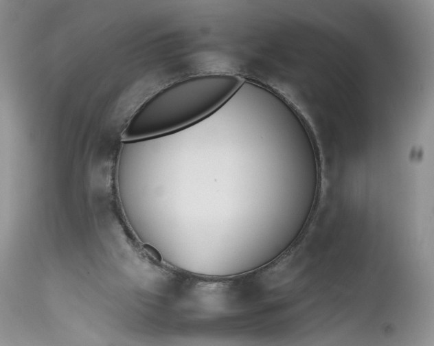 X0000112510057200908311343