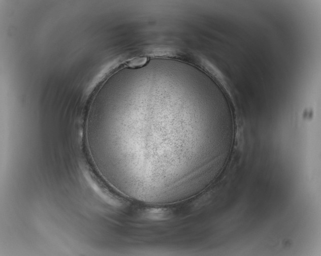 X0000112510059200908311343