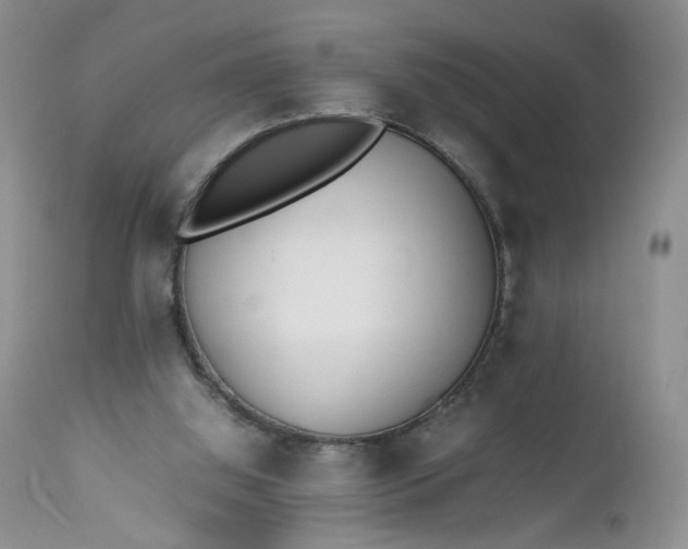 X0000112510060200908311343