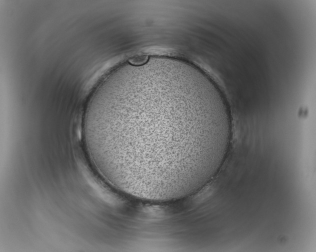 X0000112510062200908311343