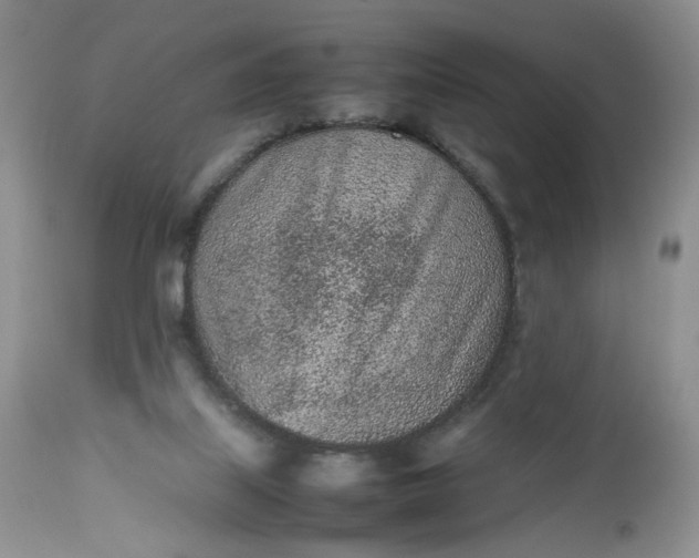 X0000112510067200908311343