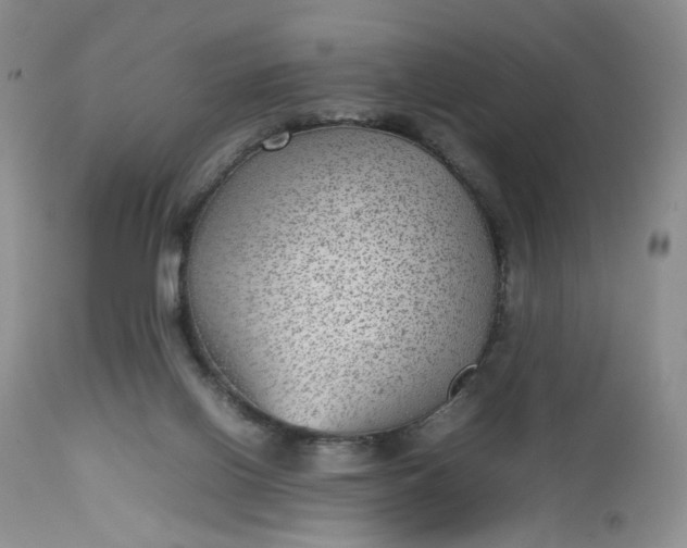 X0000112510070200908311343