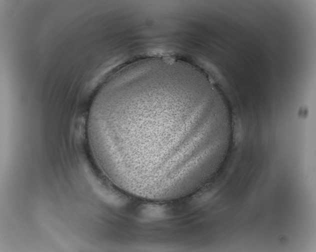 X0000112510071200908311343