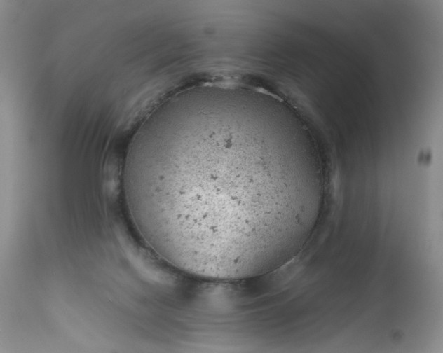 X0000112510074200908311343