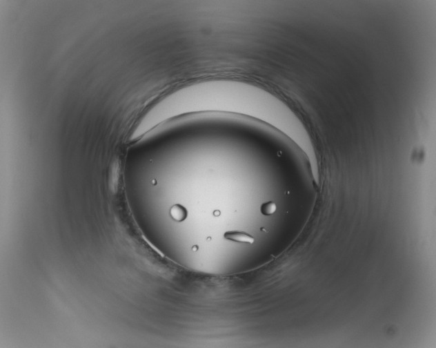 X0000112510076200908311343