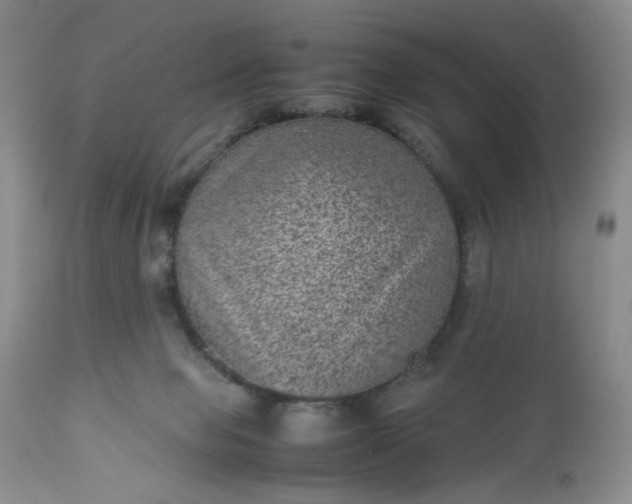 X0000112510077200908311343