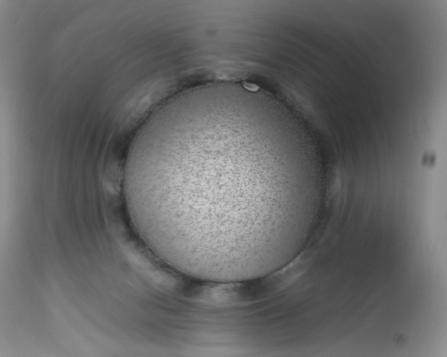 X0000112510078200908311343