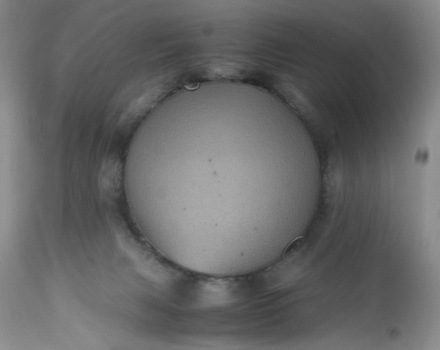 X0000112510079200908311343