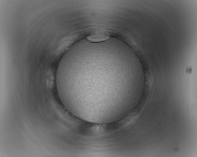 X0000112510080200908311343